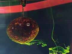 calitate produs+experienta=rezultat